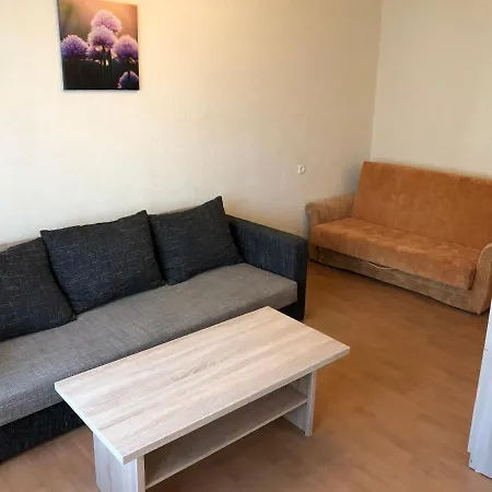 Apartment Inzenieru 93 *